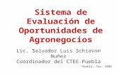 Sistema de Evaluación de Oportunidades de Agronegocios Puebla, Pue. 2008 Lic. Salvador Luis Schiavon Nuñez Coordinador del CTEE-Puebla.