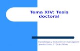 Tema XIV: Tesis doctoral Metodología y formación en investigación Joseba Zubia, ETSI de Bilbao.