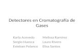 Detectores en Cromatografía de Gases Karla AcevedoMelissa Ramírez Sergio HuescaLaura Rivero Esteban PolancoElisa Santos.