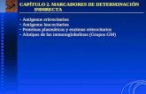 CAPÍTULO 2. MARCADORES DE DETERMINACIÓN INDIRECTA - Antígenos eritrocitarios - Antígenos leucocitarios - Proteínas plasmáticas y enzimas eritrocitarios.