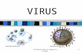 Profesora María Angelica Riedel1 VIRUS. Profesora María Angelica Riedel2 ¿Qué son? Un virus es básicamente una pequeña cantidad de material genético dentro.