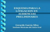 ESQUEMA PARA LA LITIGACION EN AUDIENCIAS PRELIMINARES Gerardo García Silva Instituto Mexicano del Juicio Oral.