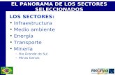 EL PANORAMA DE LOS SECTORES SELECCIONADOS LOS SECTORES: Infraestructura Medio ambiente Energía Transporte Minería –Rio Grande do Sul –Minas Gerais.