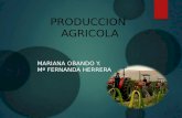 PRODUCCION AGRICOLA MARIANA OBANDO Y. Mª FERNANDA HERRERA.