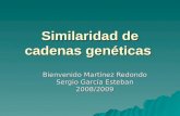 Similaridad de cadenas genéticas Bienvenido Martínez Redondo Sergio García Esteban 2008/2009.