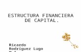 ESTRUCTURA FINANCIERA DE CAPITAL. Ricardo Rodríguez Lugo M.A.