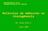 UNIVERSIDAD DE TALCA PROGRAMA MAGÍSTER EN CIENCIAS Moléculas de Adhesión en Aterogénesis TM. Carla Toro O. Junio 2005.