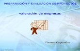 Luis Felipe Sáez Collantes valoración de empresas Finanzas Corporativas PREPARACIÓN Y EVALUACIÓN DE PROYECTOS.