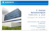 Asepeyo MATEPSS nº 151 I Curso Artroscopia Tobillo y pie Cirugía en directo Instituto de Salud Laboral Asepeyo Cartuja (Sevilla) 12 de marzo de 2010.