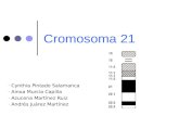 Cromosoma 21 · Cynthia Pintado Salamanca · Ainoa Murcia Capilla · Azucena Martínez Ruiz · Andrés Juárez Martínez.