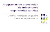 Programas de prevención de infecciones respiratorias agudas Cesar A. Rodríguez Segoviano Crecimiento y Desarrollo.