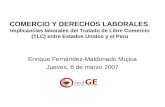 COMERCIO Y DERECHOS LABORALES. Implicancias laborales del Tratado de Libre Comercio (TLC) entre Estados Unidos y el Perú Enrique Fernández-Maldonado Mujica.