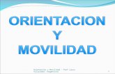 1 Orientacion y Movilidad - Prof Laura Villalobos (Argentina)