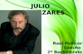 JULIO LLAMAZARES Raúl Pellicer Sancho 2º Bachillerato AA.