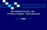 Antibióticos en Infecciones Urinarias. INFECCIONES DEL TRACTO URINARIO Patogénesis: La invasión al tracto urinario está determinada por:  virulencia.