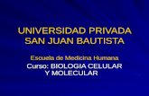 UNIVERSIDAD PRIVADA SAN JUAN BAUTISTA Escuela de Medicina Humana Curso: BIOLOGIA CELULAR Y MOLECULAR.