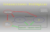 Interacciones Ecológicas Alouatta seniculus A B Vegetación – Componente Arbóreo Harpia harpyja Factores abióticos Ateles paniscus.