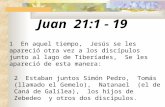 Juan 21:1 - 19 1 En aquel tiempo, Jesús se les apareció otra vez a los discípulos junto al lago de Tiberíades, Se les apareció de esta manera: 2 Estaban.