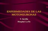 ENFERMEDADES DE LAS MOTONEURONAS T. Sevilla Hospital La Fe.