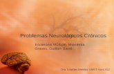 Problemas Neurológicos Crónicos Esclerosis Múltiple, Miastenia Graves, Guillain Barré Dra. Lourdes Mendez UMET-Nurs 412.