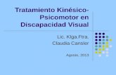 Tratamiento Kinésico- Psicomotor en Discapacidad Visual Lic. Klga.Ftra. Claudia Cansler Agosto, 2013.