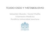 TEJIDO OSEO Y METABOLISMO Sebastián Obando / Daniel Matilla X Semestre Medicina Pontificia Universidad Javeriana.