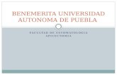 FACULTAD DE ESTOMATOLOGIA APICECTOMIA BENEMERITA UNIVERSIDAD AUTONOMA DE PUEBLA.