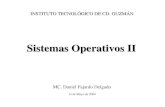 Sistemas Operativos II MC. Daniel Fajardo Delgado INSTITUTO TECNOLÓGICO DE CD. GUZMÁN 1o de Mayo de 2004.
