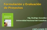 Formulación y Evaluación de Proyectos Mg. Rodrigo González Universidad Nacional del Comahue.