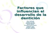 Factores que influencian el desarrollo de la dentición Dra. Koifman Rosita Garrido Eduardo gerhard Eloisa Godoy Francisco Javier Lattês Eugenio Leon Miryam.