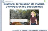 Circulación de materia y energía en los ecosistemas Biosfera: Circulación de materia y energía en los ecosistemas.