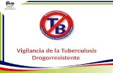 Vigilancia de la Tuberculosis Drogorresistente. Porcentaje de Detección de TB MDR República Dominicana 2013 CASOS MDRESTIMADOS*REPORTADOS%Meta 2015 NUEVOS220301420%