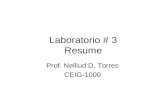 Laboratorio # 3 Resume Prof. Nelliud D. Torres CEIG-1000.