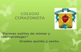 COLEGIO CORAZONISTA “Formas sutiles de mimar y sobreproteger” Grados quinto y sexto.