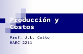 Producción y Costos Prof. J.L. Cotto MAEC 2211. Toma de Decisiones: Marco de Tiempo Para analizar la relación entre la decisión de producción de una empresa.