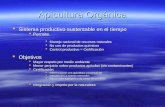 Apicultura Orgánica  Sistema productivo sustentable en el tiempo  Permite :  Manejo racional de recursos naturales  No uso de productos químicos