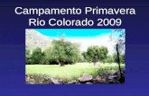 Campamento Primavera Rio Colorado 2009. 1. Descripción General de la Actividad 2. Locación 3. Medidas de Seguridad 4. Participantes del Campamento 5.
