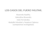LOS CASOS DEL FUERO MILITAR. Rosendo Radilla. Valentina Rosendo. Inés Fernández. Rodolfo Montiel y Teodoro Cabrera (campesinos ecologistas).