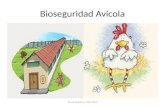 Bioseguridad Avícola Curso Avícola II UTN 2015. Bioseguridad Las medidas de bioseguridad están diseñadas para prevenir y evitar la entrada de agentes.