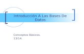Introducción A Las Bases De Datos Conceptos Básicos. 13/14.