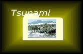 Todo desaparece …. ¿Qué es un tsunami? Un TSUNAMI (del japonés TSU: puerto o bahía, NAMI: ola) es una ola o serie de olas que se producen en una masa.