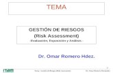 Tema : Gestión de Riesgos (Risk Assessment) Dr. Omar Romero Hernández 1/1/ TEMA GESTIÓN DE RIESGOS (Risk Assessment) -Evaluación, Exposición y Análisis.