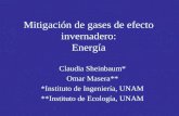 Mitigación de gases de efecto invernadero: Energía Claudia Sheinbaum* Omar Masera** *Instituto de Ingeniería, UNAM **Instituto de Ecología, UNAM.