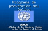 Programa de prevención del Delito ONUDD Oficina de las Naciones Unidas Oficina de las Naciones Unidas contra la Droga y el Delito contra la Droga y el.