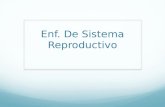 Enf. De Sistema Reproductivo. Deficiencia de Androgenos Hipogonadismo Primario: Testosterona baja y FSH y LH altas Sd. Klinefelter (47 XXY)