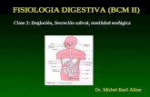 FISIOLOGIA DIGESTIVA (BCM II) Clase 2: Deglución, Secreción salival, motilidad esofágica Dr. Michel Baró Aliste.
