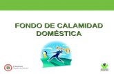 FONDO DE CALAMIDAD DOMÉSTICA. Fondo de Calamidad Doméstica Resolución 0887 del 16 de mayo de 2003 la cual regula el Programa de Bienestar Social al empleado.