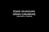 ESAS GUAGUAS GRAN CANARIAS (como diría D. Francisco)