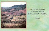 ECOLOGÍA DE AMBIENTES FRAGMENTADOS 2003. Sala et al. (2000)