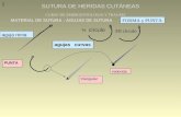 SUTURA DE HERIDAS CUTÁNEAS CURSO DE EMERGENTOLOGIA Y TRAUMA MATERIAL DE SUTURA : AGUJAS DE SUTURA agujas curvas aguja recta FORMA y PUNTA ½ círculo 3/8.
